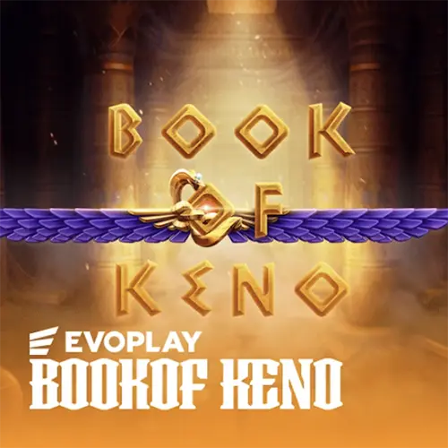 The most valuable prizes and winnings are waiting for you in the Book of Keno game from BC Game.