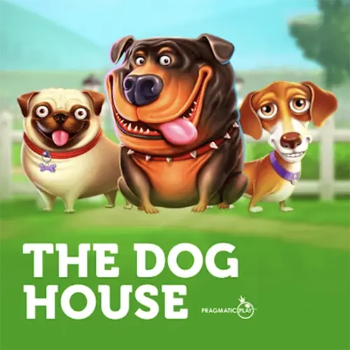 Search for dogs and get big bonuses in The Dog House by BC Game.